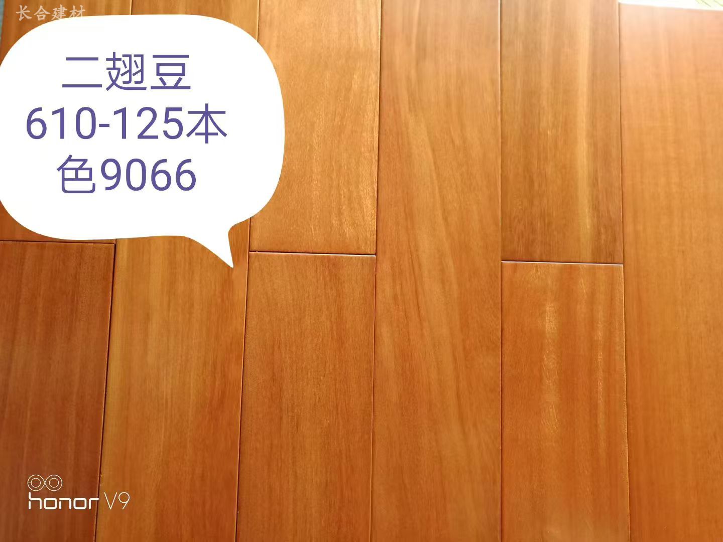微信图片_20261016162104_176_568.jpg