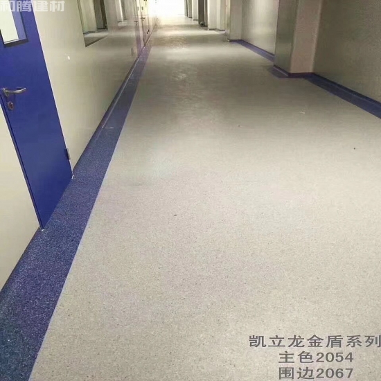 2.0无方向同透 金盾(20)